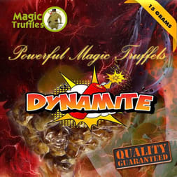 A detailed view of Dynamite magic truffle, offering an intense and powerful psychedelic trip