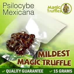 A mild and beginner-friendly Mexicana magic truffle, offering a gentle and joyful psychedelic experience