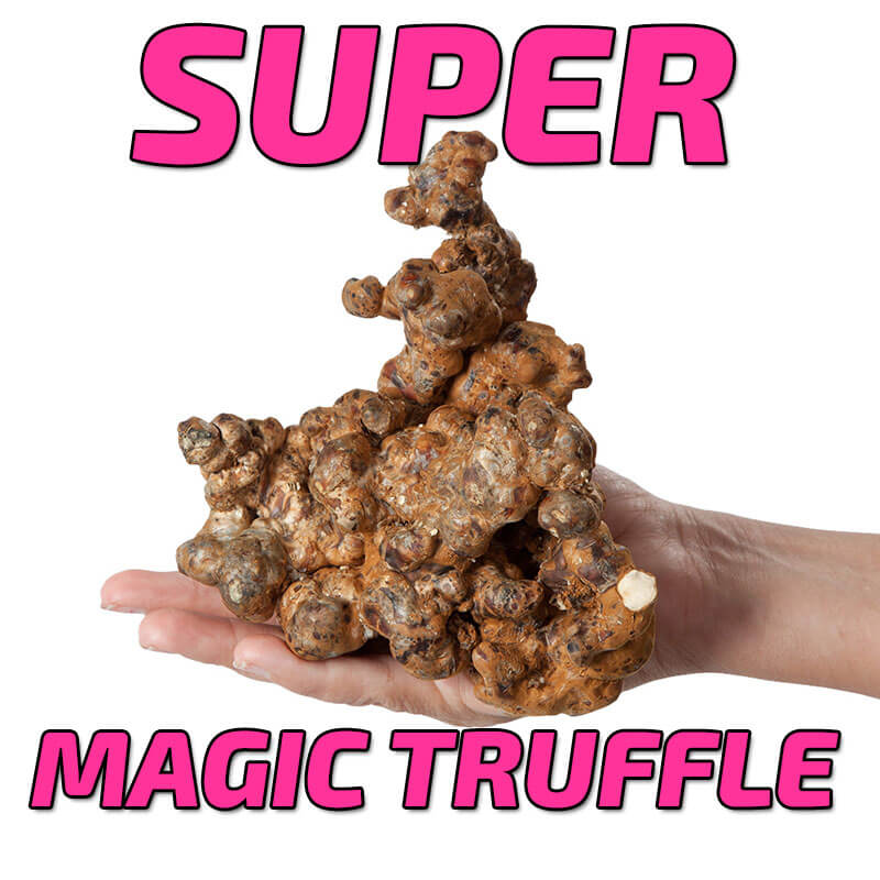 Super size magic truffle