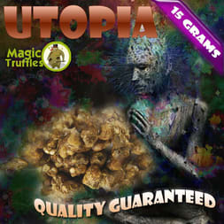 Utopia magic truffle, famous for providing one of the most intense and blissful psychedelic journeys